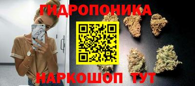 Альфа ПВП Пугачёв
