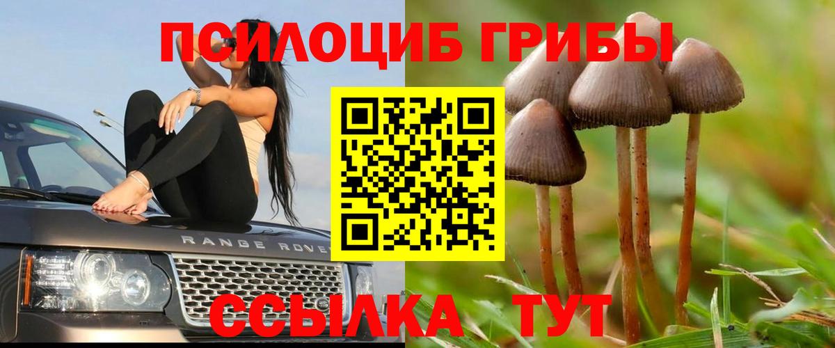 Серпухов  Галлюциногенные грибы GOLDEN TEACHER  Вход с VPN  Псилоцибиновые грибы MAGIC MUSHROOMS 