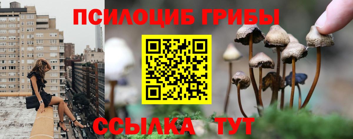 Псилоцибиновые грибы ЛСД Серпухов